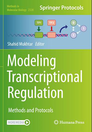 Modeling Transcriptional Regulation