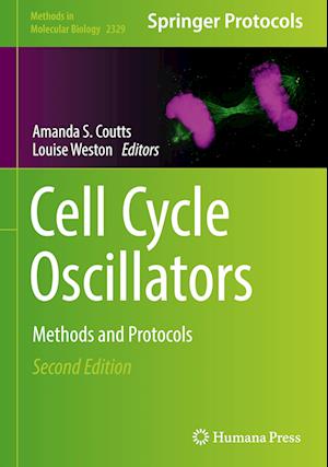 Cell Cycle Oscillators