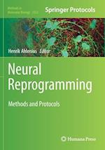 Neural Reprogramming