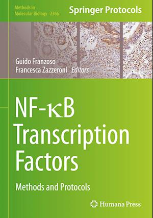 NF-?B Transcription Factors