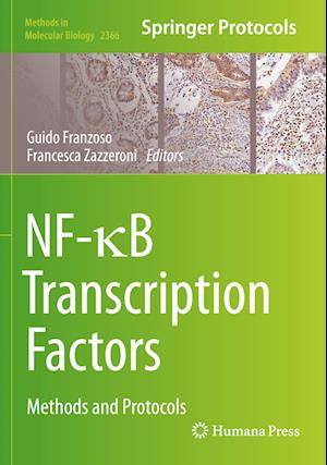 NF-?B Transcription Factors