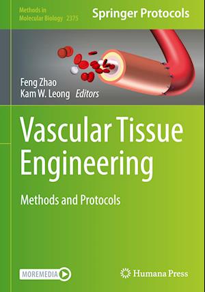 Vascular Tissue Engineering : Methods and Protocols