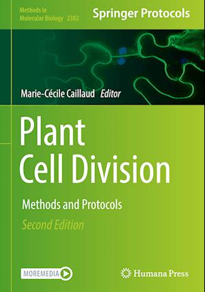 Plant Cell Division : Methods and Protocols
