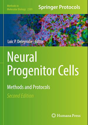 Neural Progenitor Cells