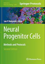 Neural Progenitor Cells