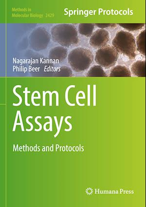 Stem Cell Assays