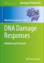 DNA Damage Responses