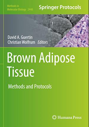 Brown Adipose Tissue