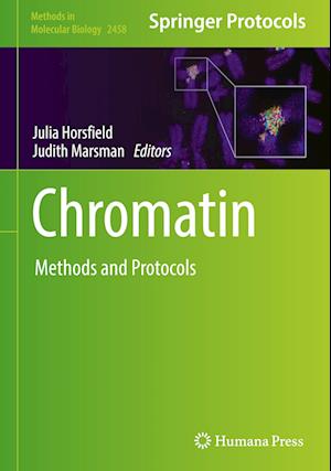 Chromatin