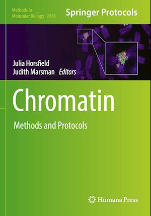 Chromatin