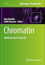 Chromatin