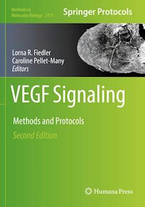 VEGF Signaling