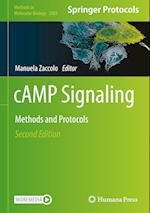 cAMP Signaling