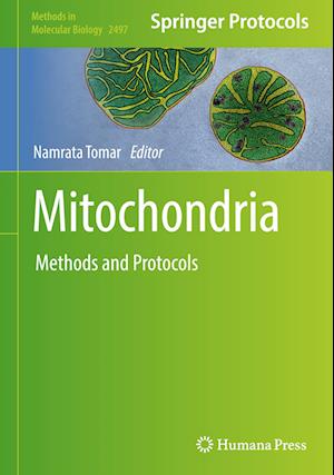 Mitochondria