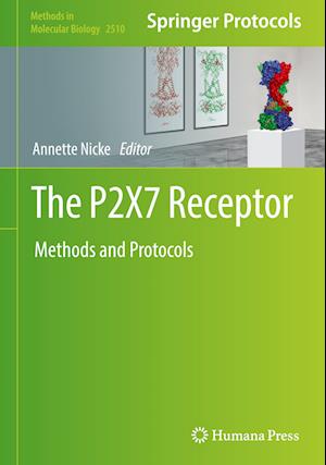 The P2X7 Receptor