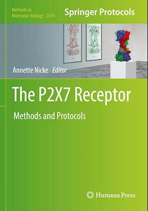 The P2X7 Receptor