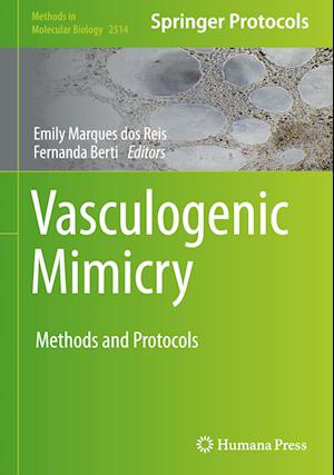 Vasculogenic Mimicry