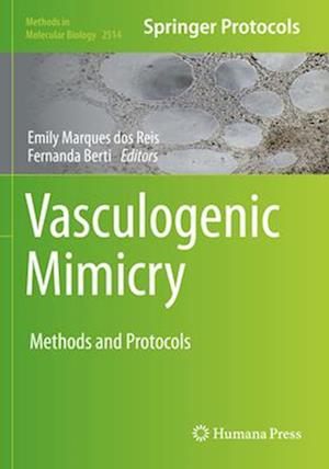 Vasculogenic Mimicry