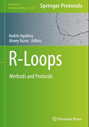 R-Loops