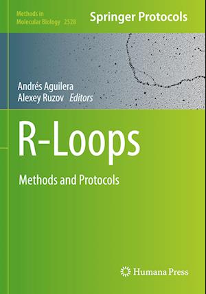 R-Loops