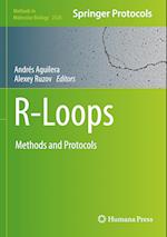 R-Loops