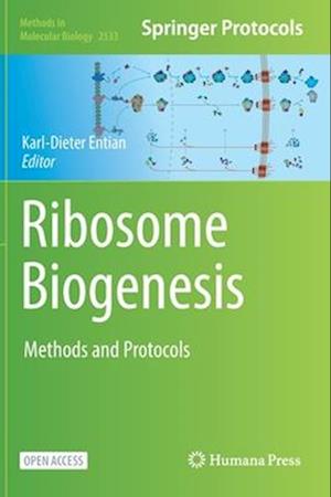 Ribosome Biogenesis