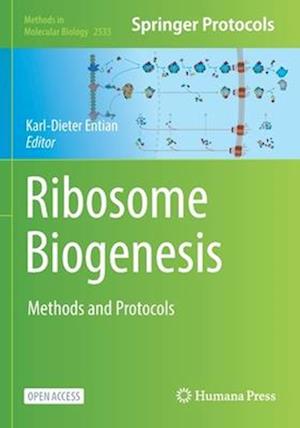 Ribosome Biogenesis