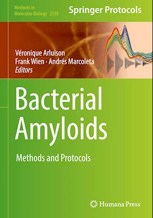 Bacterial Amyloids