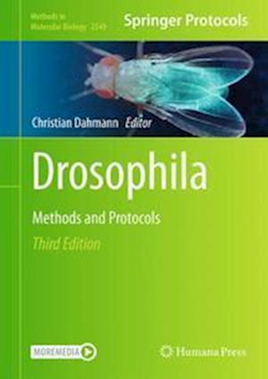 Drosophila