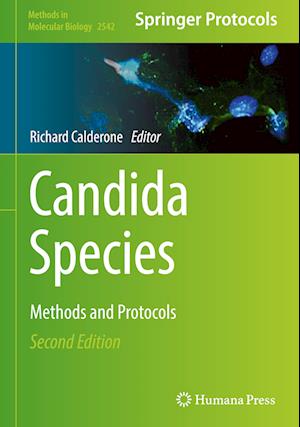 Candida Species