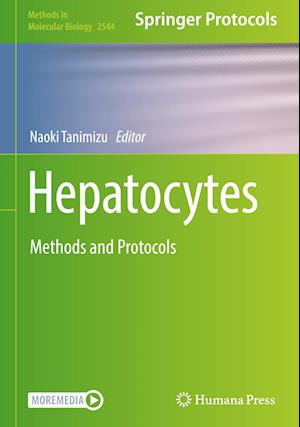 Hepatocytes