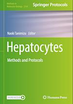 Hepatocytes