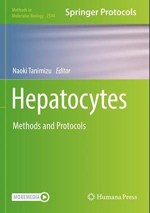 Hepatocytes