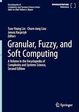 Granular, Fuzzy, and Soft Computing