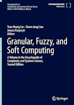 Granular, Fuzzy, and Soft Computing