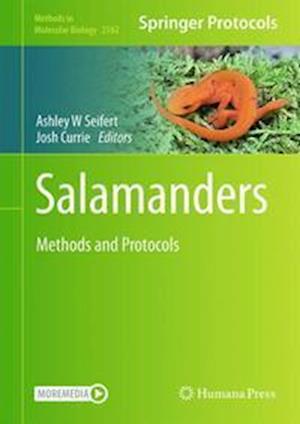 Salamanders