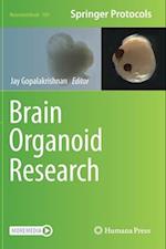 Brain Organoid Research