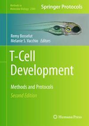 T-Cell Development