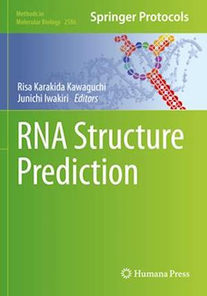 RNA Structure Prediction