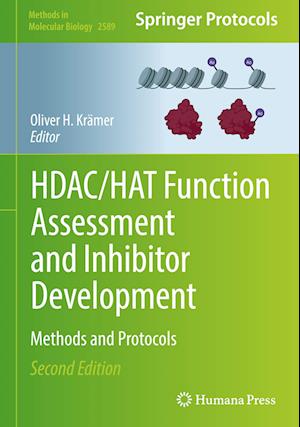 HDAC/HAT Function Assessment and Inhibitor Development