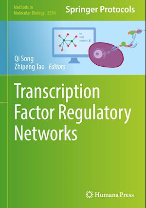 Transcription Factor Regulatory Networks