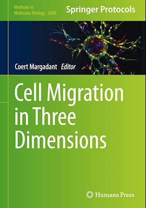 Cell Migration in Three Dimensions