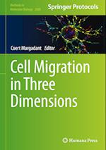 Cell Migration in Three Dimensions