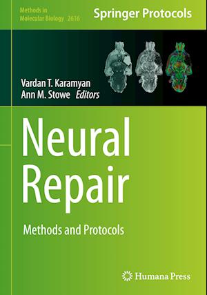 Neural Repair