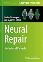 Neural Repair