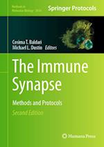 The Immune Synapse