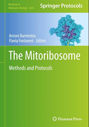 The Mitoribosome