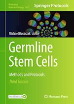 Germline Stem Cells