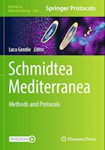 Schmidtea Mediterranea