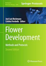 Flower Development
